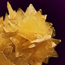 Muscovite