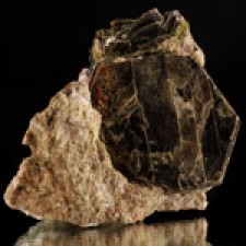 Phlogopite