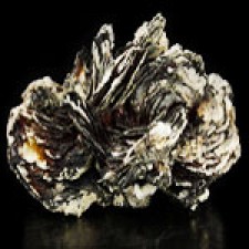 Polylithionite