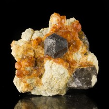 2.4" Gemmy Orange SPESSARTINE GARNET Crystals with SMOKY QUARTZ China for sale 2.4" Gemmy Orange SPESSARTINE GARNET Crystals with SMOKY QUARTZ China for sale