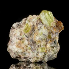 2.6" Wet Look GoldenYellow APATITE Terminated Crystals in Matrix Mexico for sale 2.6" Wet Look GoldenYellow APATITE Terminated Crystals in Matrix Mexico for sale
