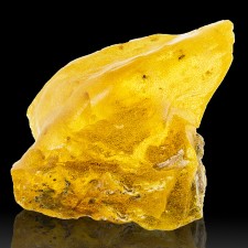 3" 45g Glowing Golden COPAL AMBER with Insects Miocene Era Madagascar for sale 3" 45g Glowing Golden COPAL AMBER with Insects Miocene Era Madagascar for sale