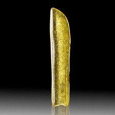 5.5" 22g Yellow Gold Copal AMBER Petrified Fossil Tree Resin Madagascar for sale 5.5" 22g Yellow Gold Copal AMBER Petrified Fossil Tree Resin Madagascar for sale