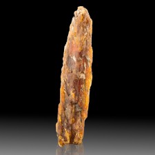 1.2" Rare ORANGE KYANITE Terminated Bladed Crystal Deep Color Tanzania for sale 1.2" Rare ORANGE KYANITE Terminated Bladed Crystal Deep Color Tanzania for sale