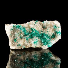 2.6" Sharp Sparkly EmeraldGreen DIOPTASE Crystals AltynTyube Kazakhstan for sale 2.6" Sharp Sparkly EmeraldGreen DIOPTASE Crystals AltynTyube Kazakhstan for sale