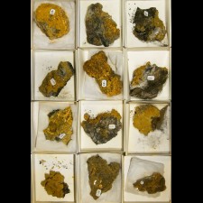 Wholesale Flat 12 pieces Sharp Yellow WULFENITE Crystals SF Mine @ $8 for sale Wholesale Flat 12 pieces Sharp Yellow WULFENITE Crystals SF Mine @ $8 for sale