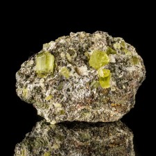 3.3" Terminated Lemon Yellow APATITE CRYSTALS to .8" on MATRIX Durango Mexico 3.3" Terminated Lemon Yellow APATITE CRYSTALS to .8" on MATRIX Durango Mexico