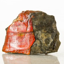 1.8" Wildly Iridescent Red Orange AMMOLITE Fossil Ammonite Shell Canada for sale 1.8" Wildly Iridescent Red Orange AMMOLITE Fossil Ammonite Shell Canada for sale