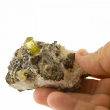 7 Shiny Lemon Yellow Gemmy APATITE Crystals to.7" on 3.4" Matrix Mexico for sale 7 Shiny Lemon Yellow Gemmy APATITE Crystals to.7" on 3.4" Matrix Mexico for sale