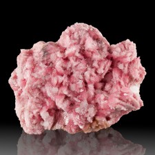 1.8" Rose Pink RHODONITE Crystals to .5" on Matrix San Martin Mine Peru for sale 1.8" Rose Pink RHODONITE Crystals to .5" on Matrix San Martin Mine Peru for sale