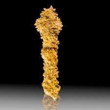 6.3" COPROLITE Fossil Dinosaur Dung Odor Free! SharplyFormed Madagascar for sale 6.3" COPROLITE Fossil Dinosaur Dung Odor Free! SharplyFormed Madagascar for sale