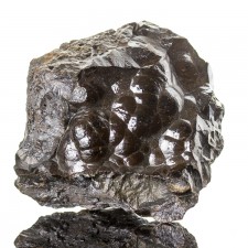 2.9" Metallic Black HEMATITE "KIDNEY ORE" Botryoidal Crystals Morocco for sale 2.9" Metallic Black HEMATITE "KIDNEY ORE" Botryoidal Crystals Morocco for sale