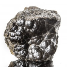 2.8" BriteShiny HEMATITE Bubbly Botryoidal Kidney Ore Formation Morocco for sale 2.8" BriteShiny HEMATITE Bubbly Botryoidal Kidney Ore Formation Morocco for sale