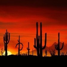 Tucson18