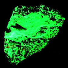 Willemite